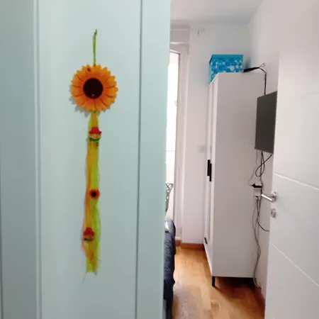 Suncokret Lejlighed Kruševac