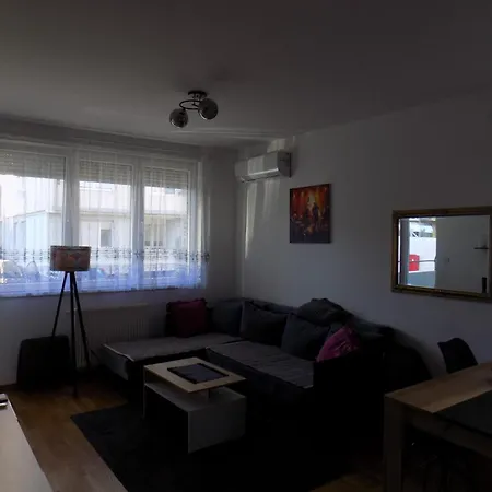 Suncokret * Kruševac